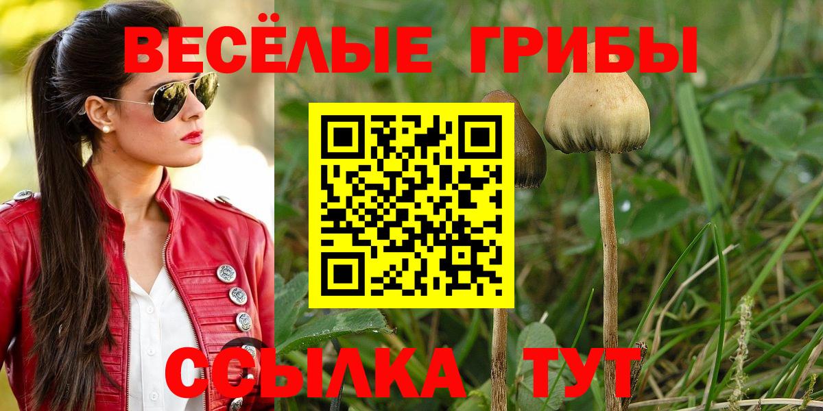 Псилоцибиновые грибы MAGIC MUSHROOMS Зеленогорск